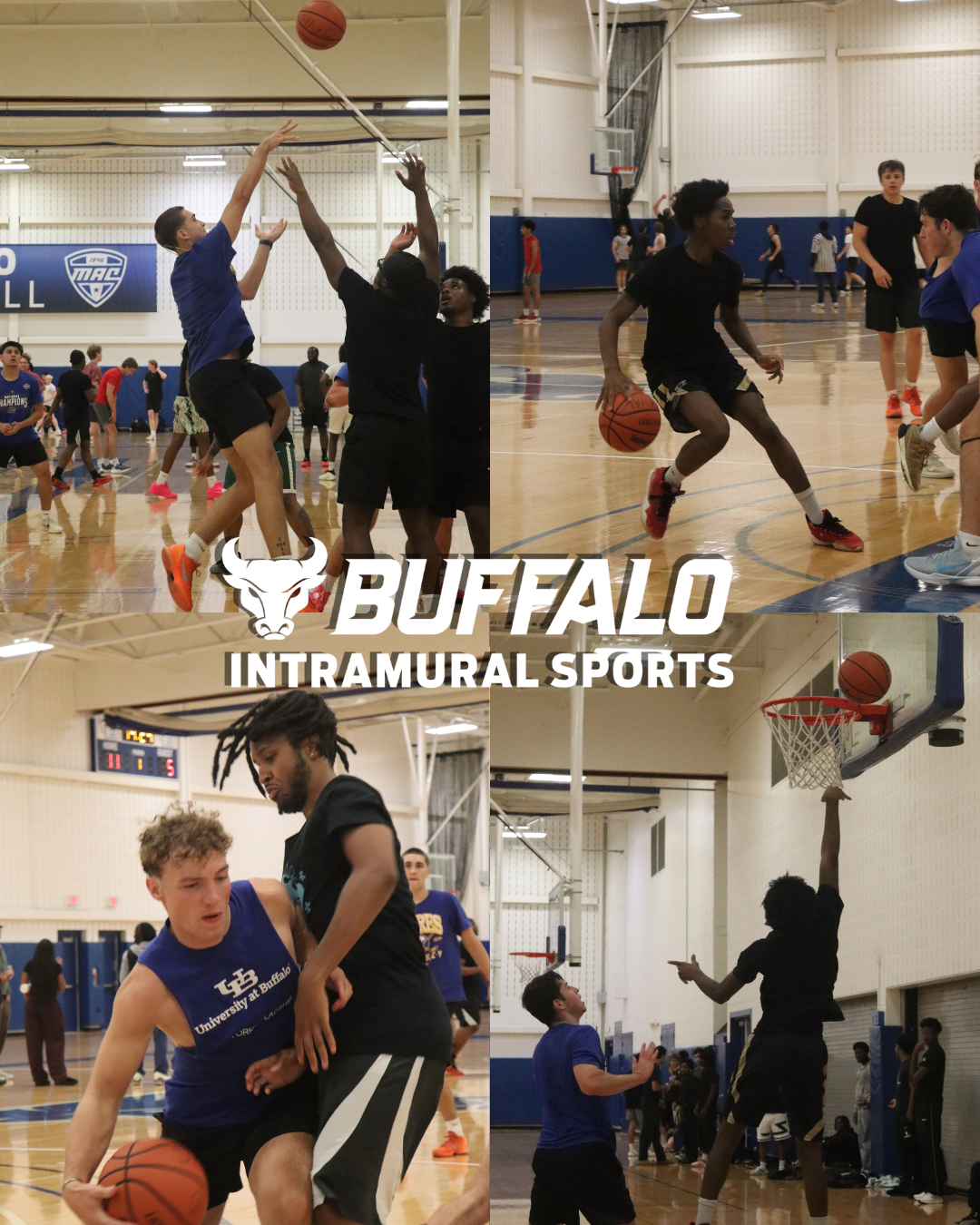 Basketball / the carousel